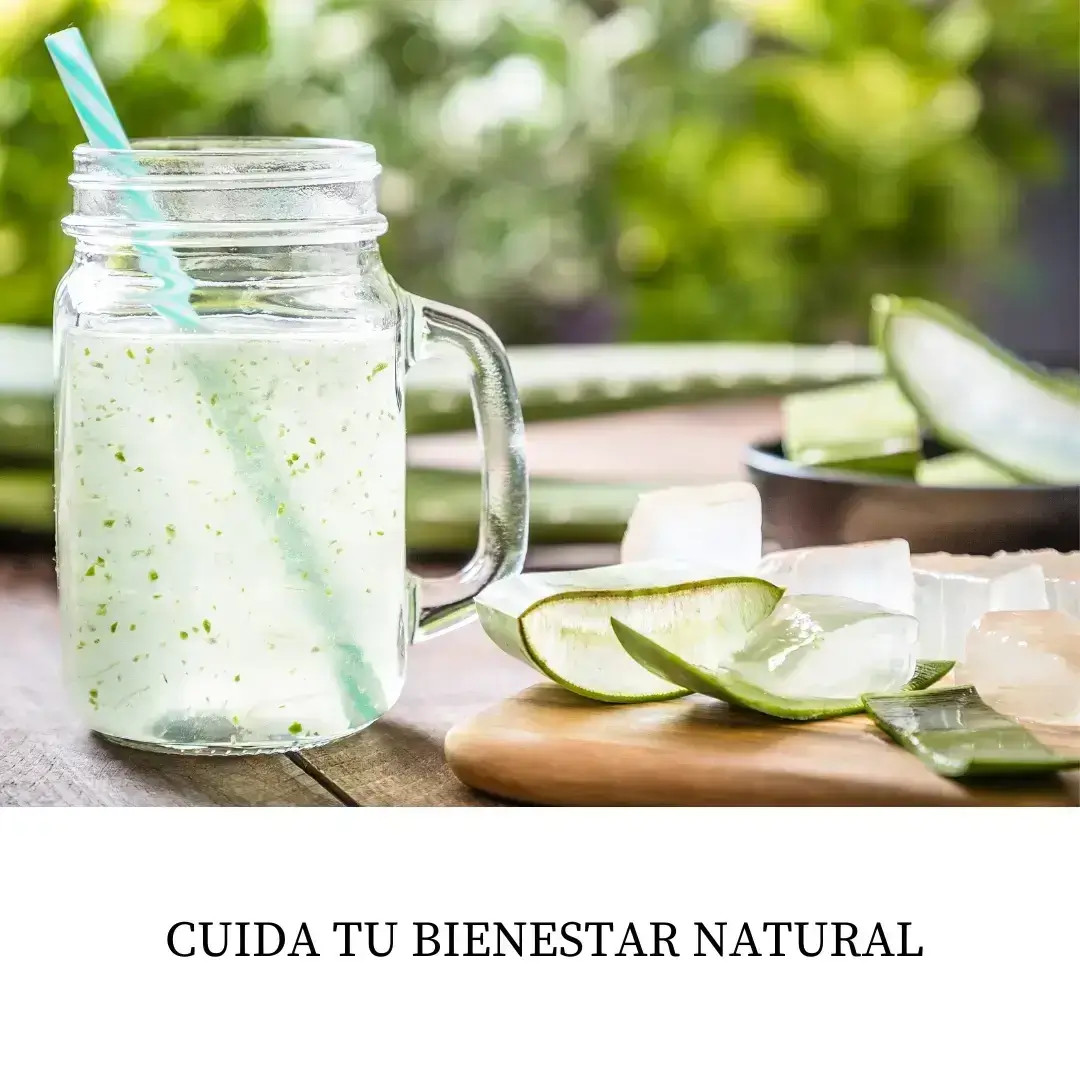 Bebida de aloe vera natural para el bienestar y la nutrición saludable en TerritorioAloe.