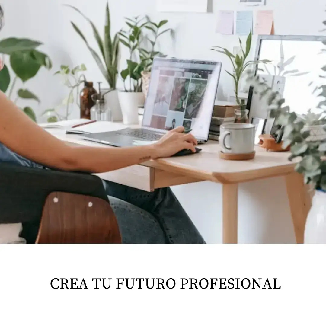 Emprendimiento digital con TerritorioAloe: crea tu propio negocio online y futuro profesional desde casa.