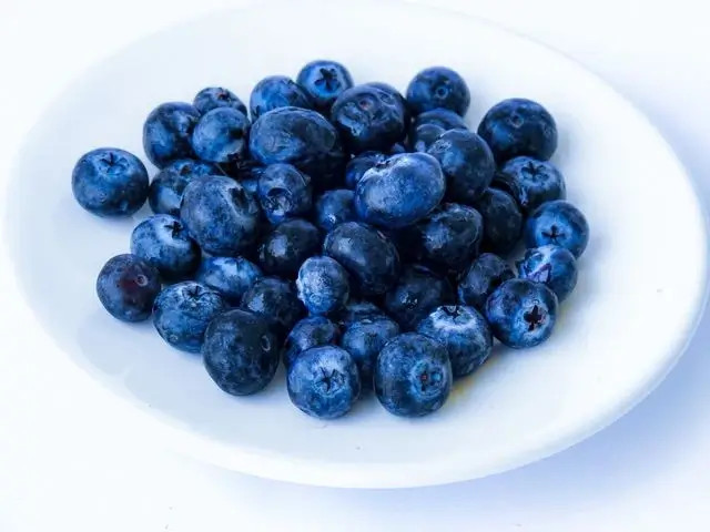 Arándanos azules frescos en un plato blanco, con bayas redondas y brillantes.