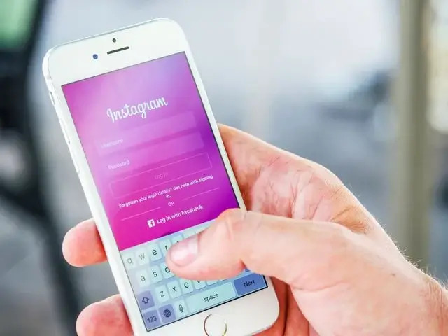 Instagram del Equipo TerritorioAloe