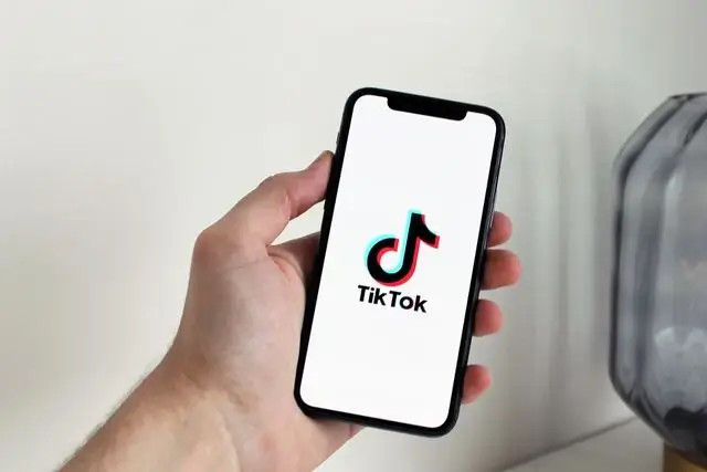 TikTok de TerritorioAloe