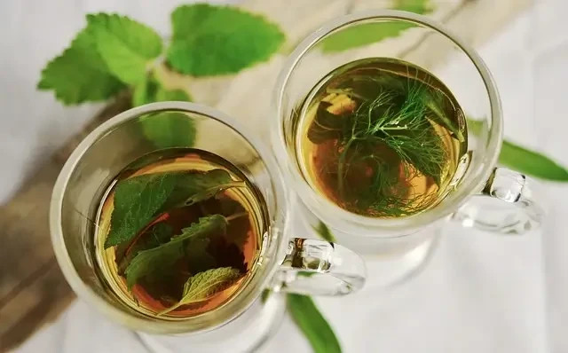 Dos tazas de vidrio con té verde infusionado, hojas frescas y ramas verdes sobre fondo claro.