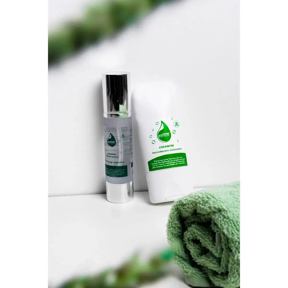 Pack Anticaspa de Exialoe